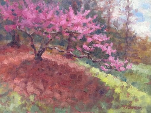 Reaching Redbud